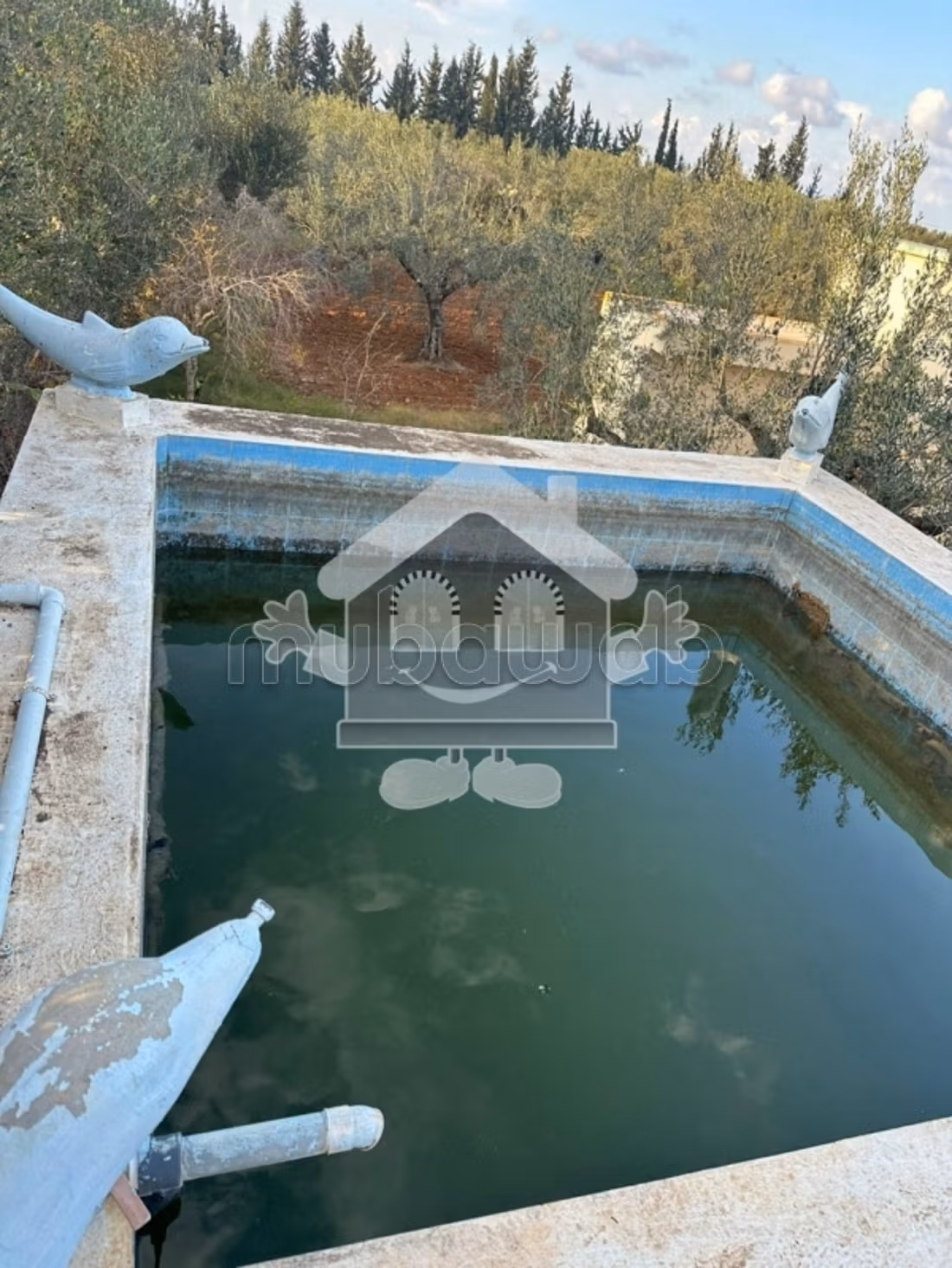 Land for sale. Small area 6160 m². 
