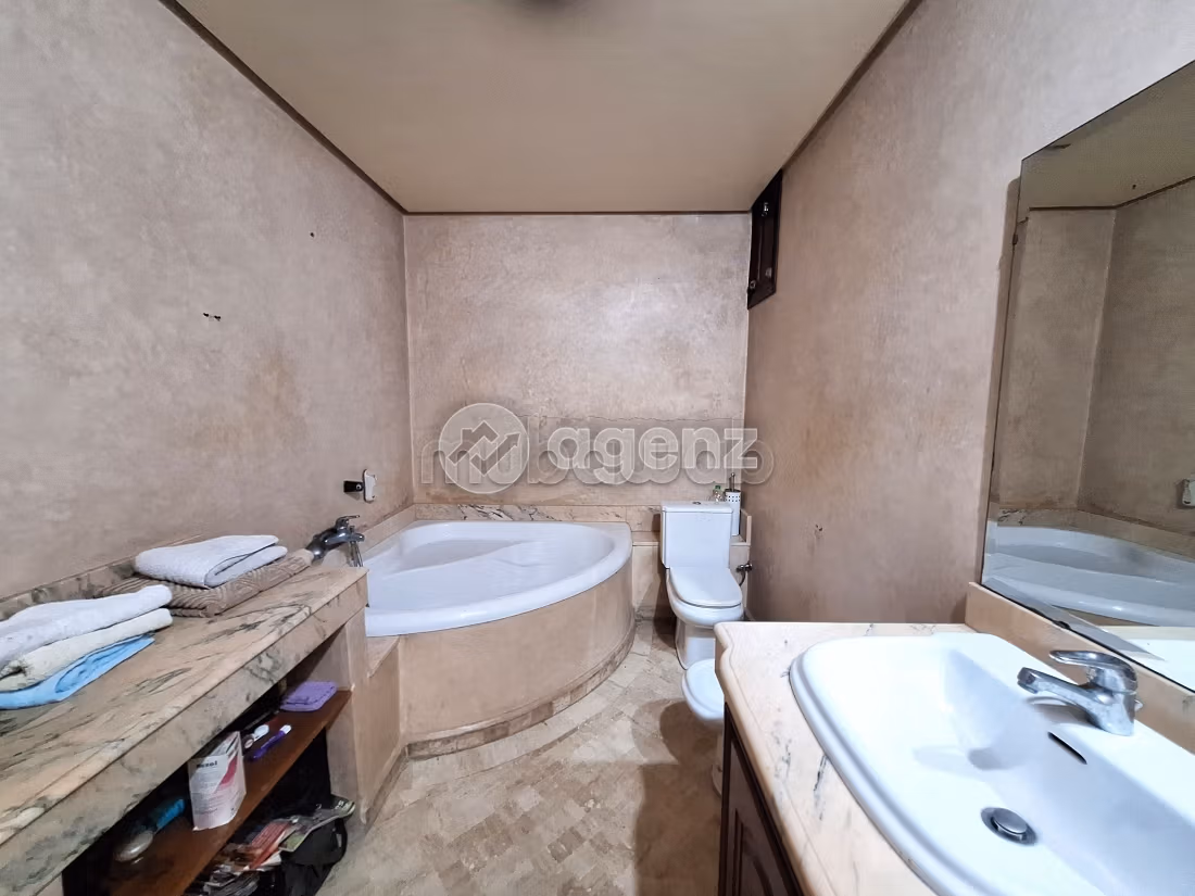 Appartement 230 m² à Les Hôpitaux — 20