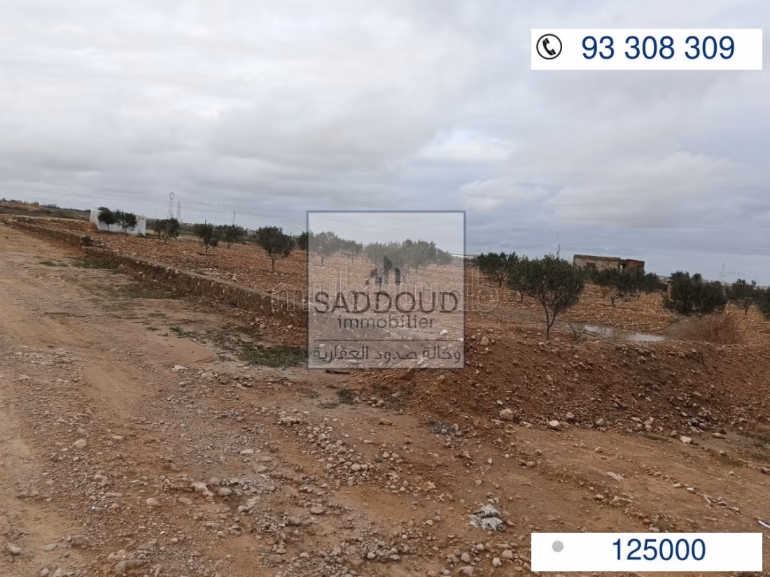 Boura in Vendita sulla Strada Manzel cheker km12