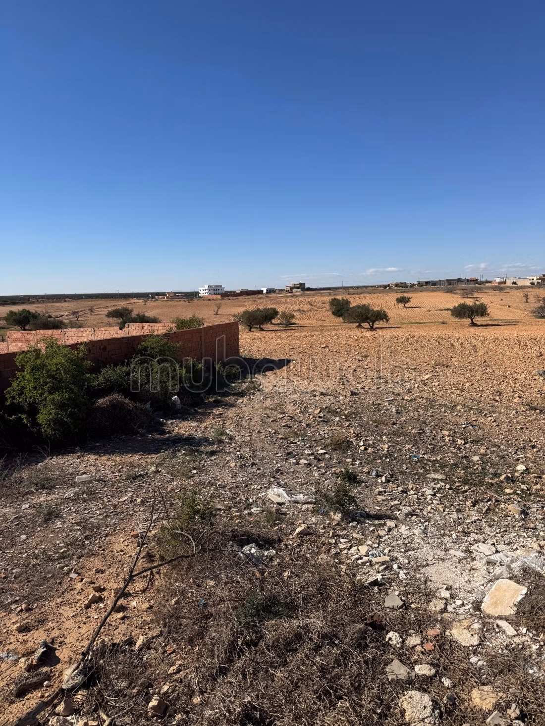 Terrain de 10967m² à Mahres 
Gouvernorat Sfax