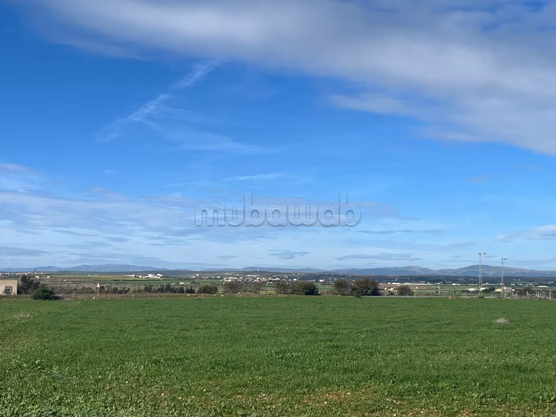 Terrain à vendre