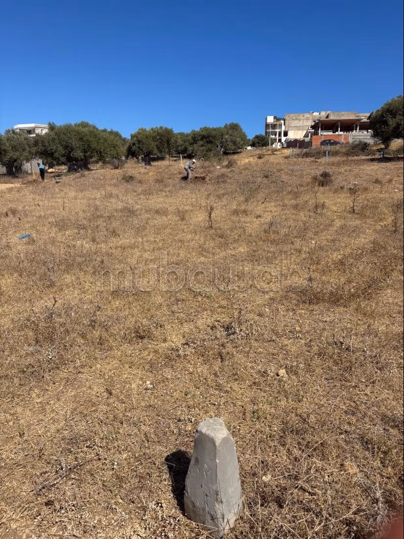 Terrain à la vente. Surface totale 289 m²
