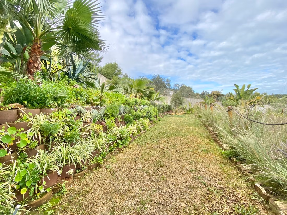 In affitto appartamento S3 con giardino a La Marsa