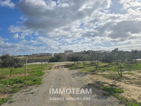 A vendre un terrain à Hammamet Sud