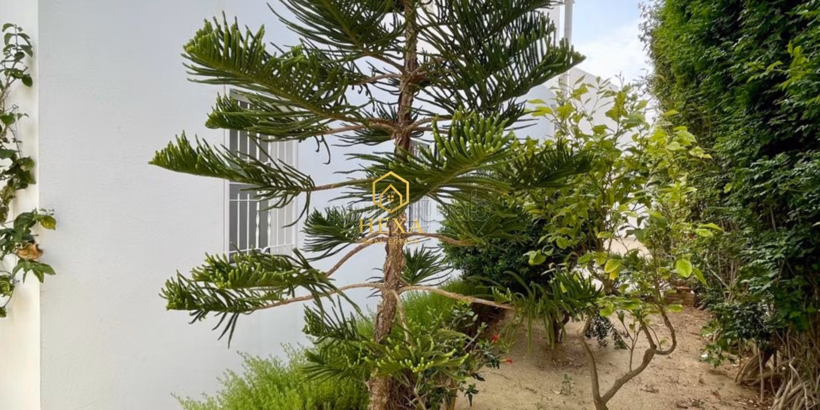 Villa S4 con piscina a Gammarth