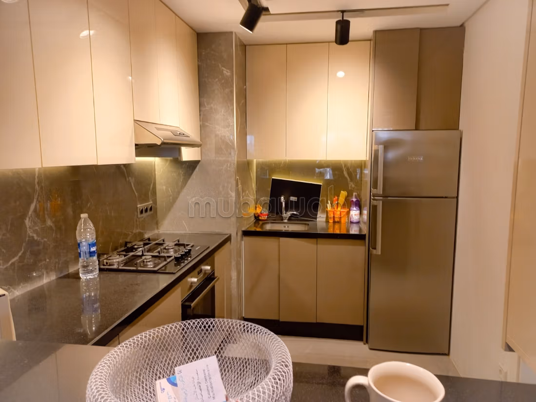 Appartement 1chemeber luxe a lgare tgv