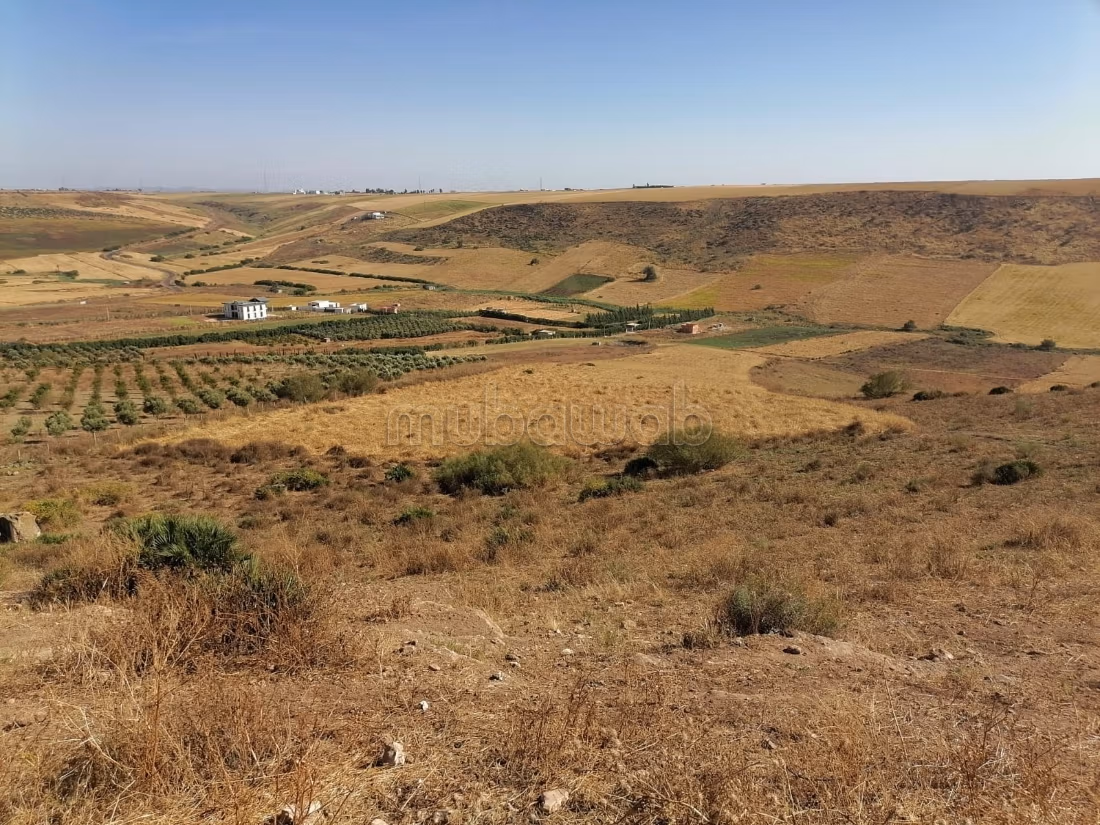 Granja registrada de 4 ha cerca de Benslimane