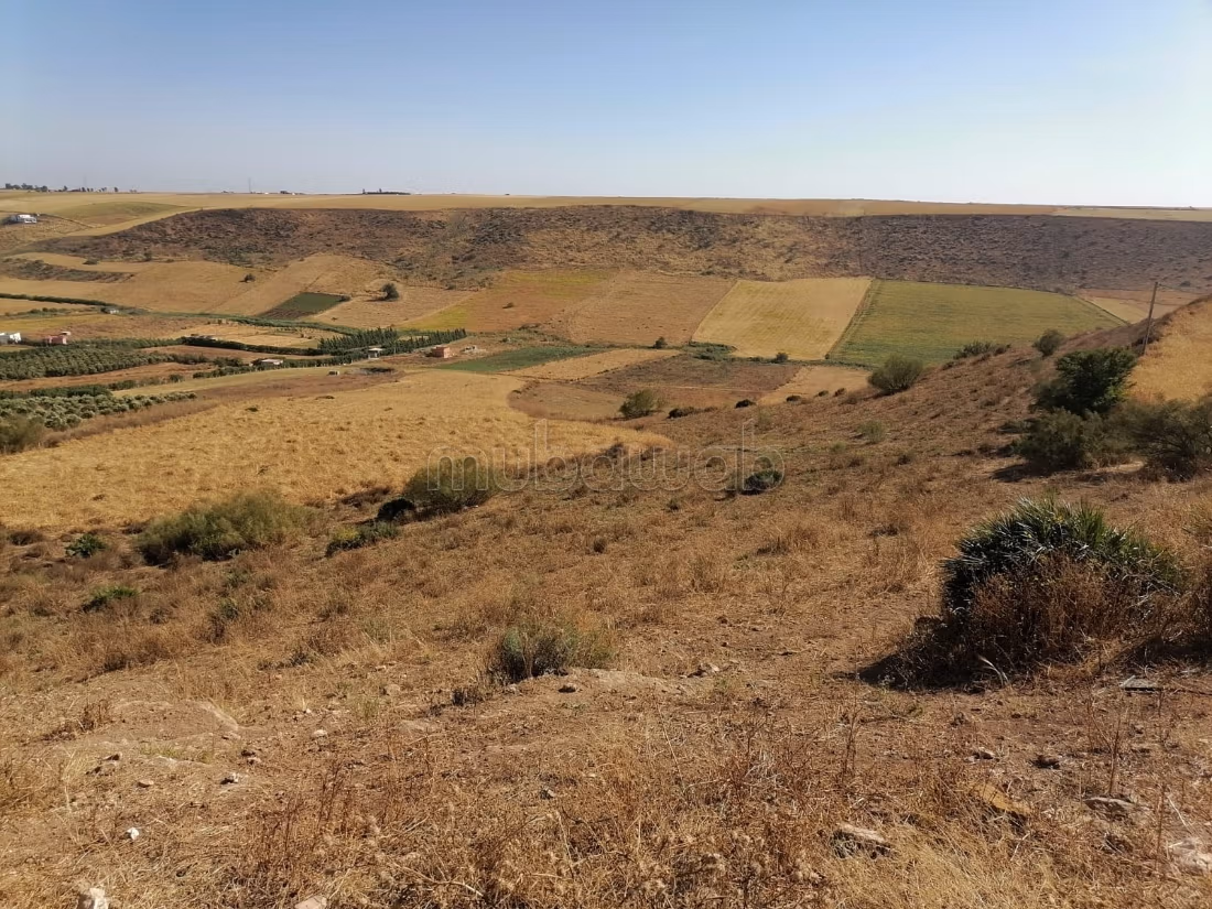 Granja registrada de 4 ha cerca de Benslimane