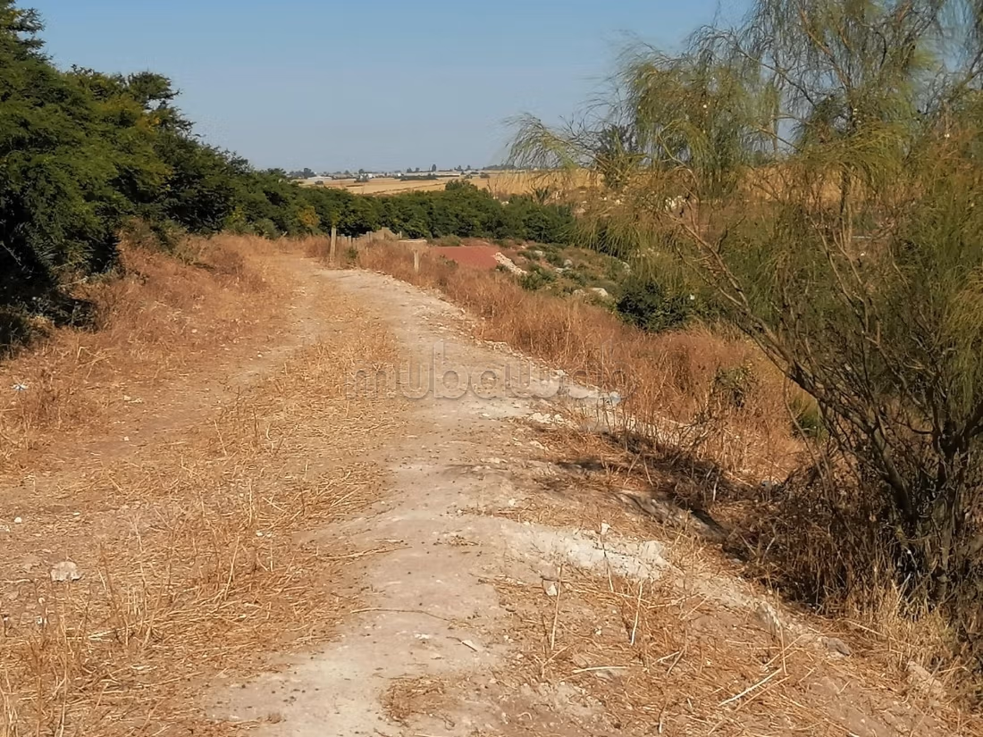 Granja registrada de 4 ha cerca de Benslimane