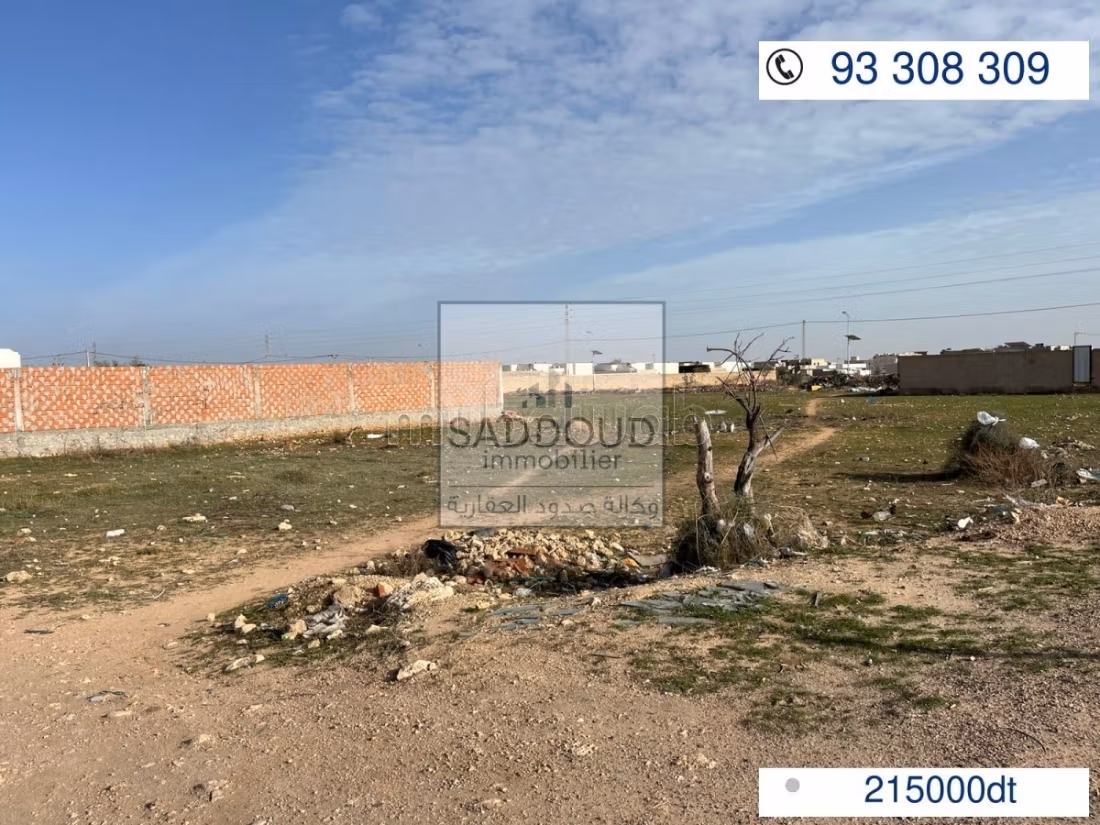 Terrain à vendre – Route Tboulbi km 8,5