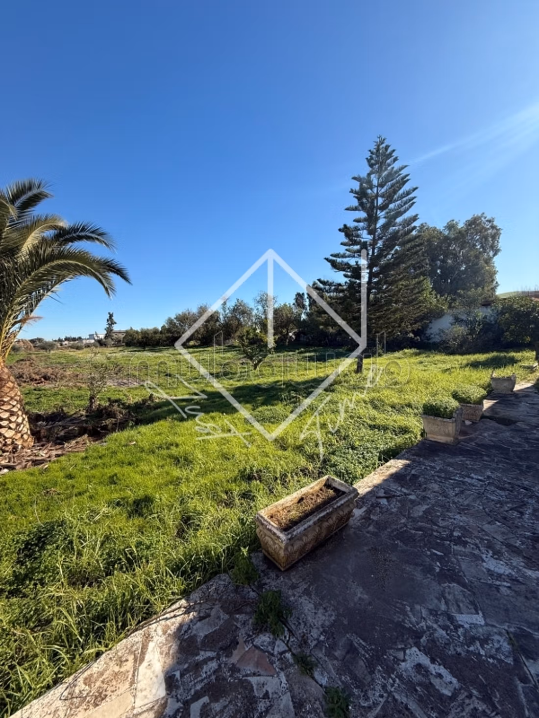 À vendre villa s3 bâti sur un terrain agricole à