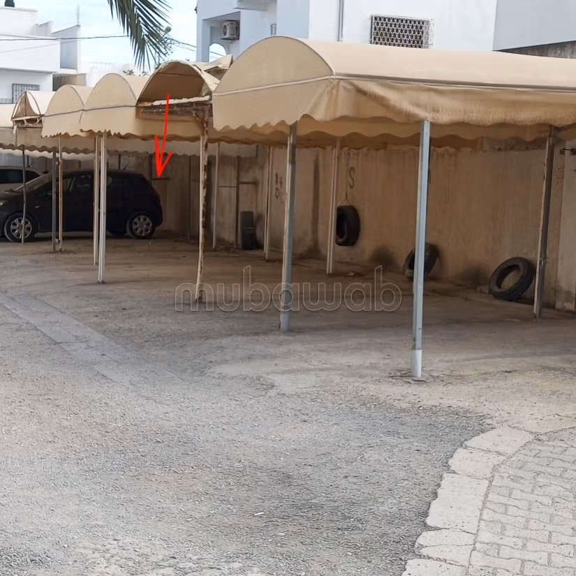S3 in vendita tra Mahmoud Matri e Riadh Andalus