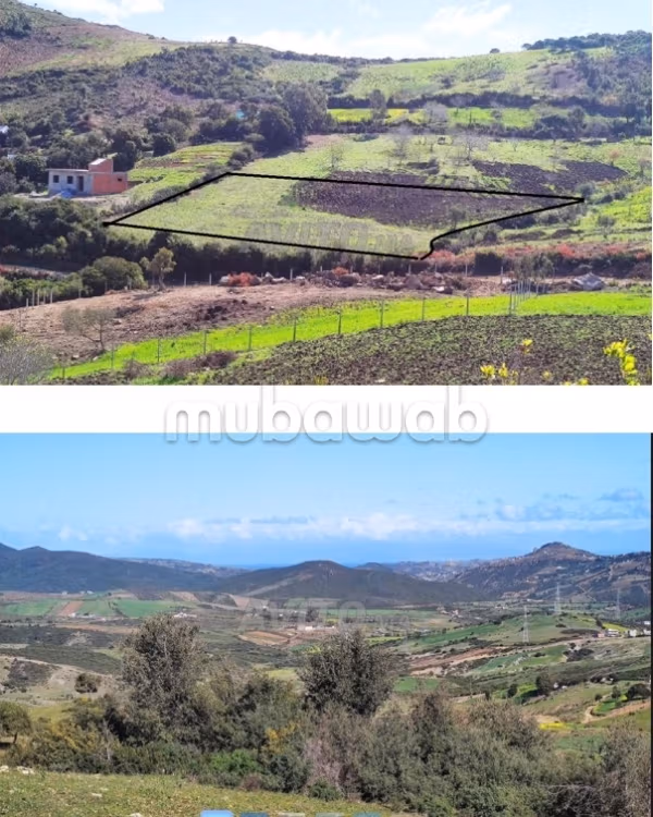 2 percelen te koop in Ain Said Melloussa