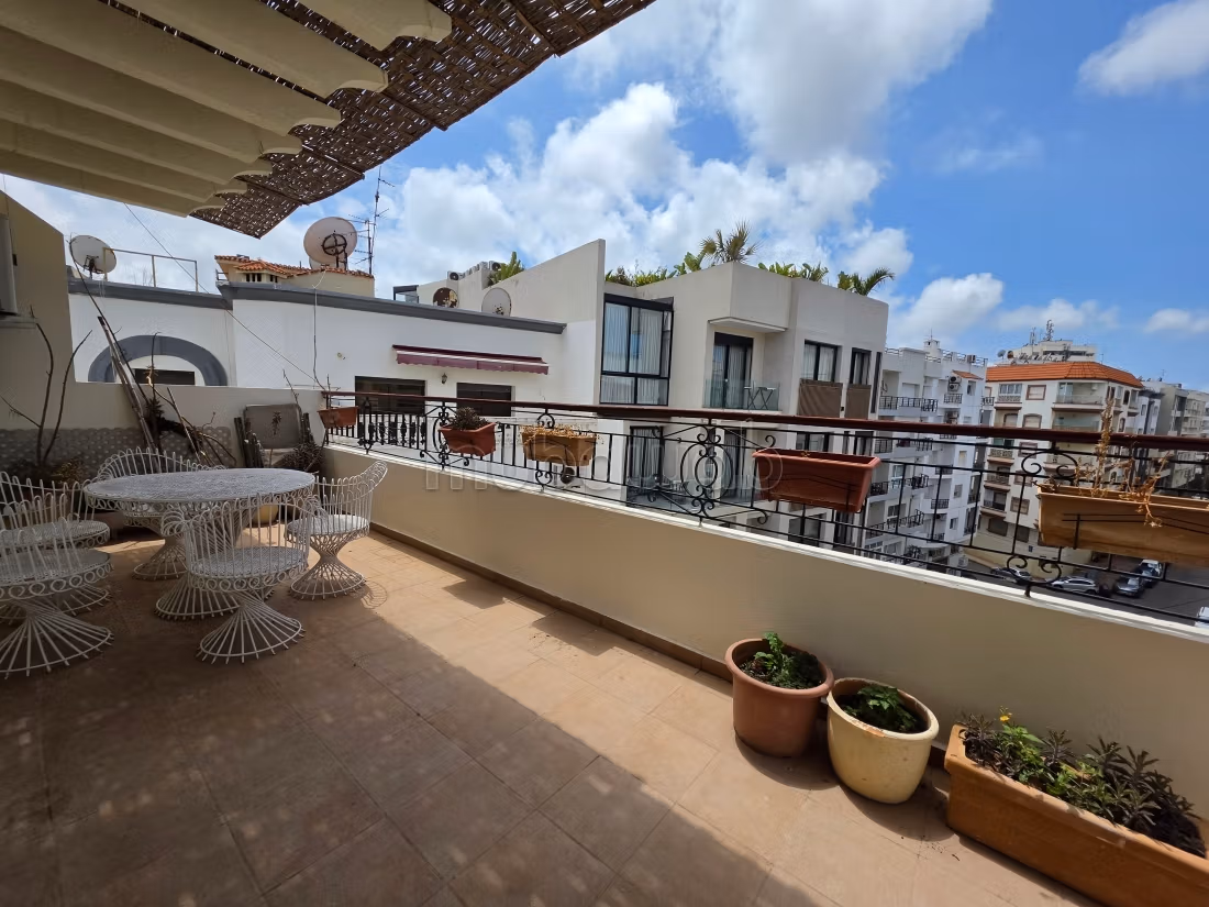 Beau studio meublé avec terrasse, dernier étage — 3