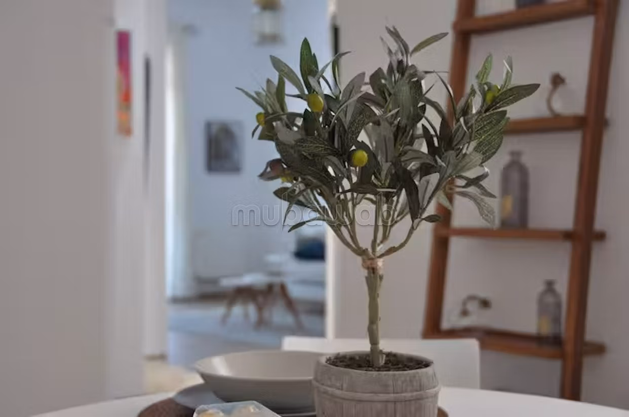 Location bel appartement avec vue sur mer la marsa
