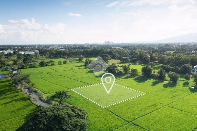 Terrain agricole en vente a Gaala Bekalta
