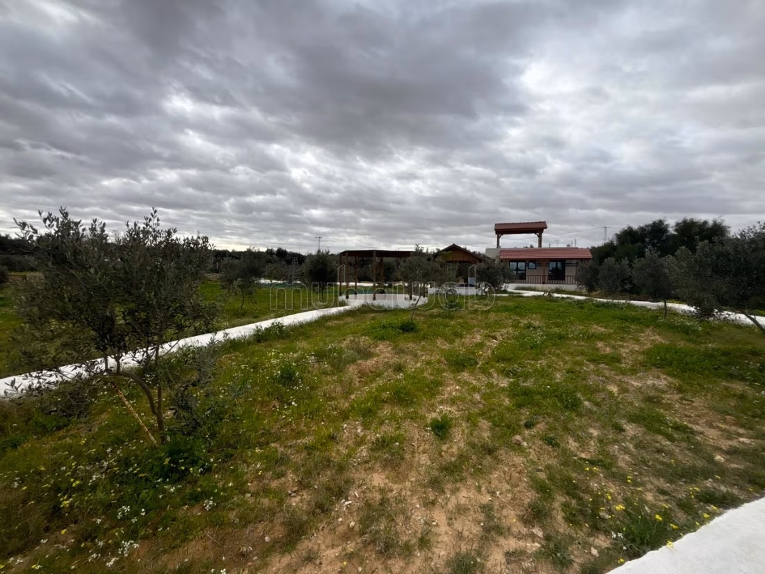À vendre: Terrain agricole de 3600 m²