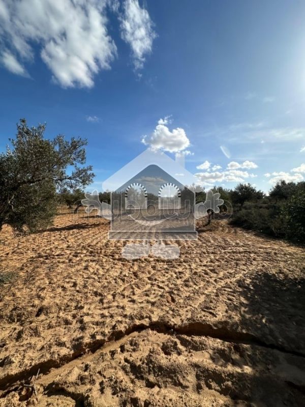 Terrain Agricole prés de Maison d'hôte La Cascina