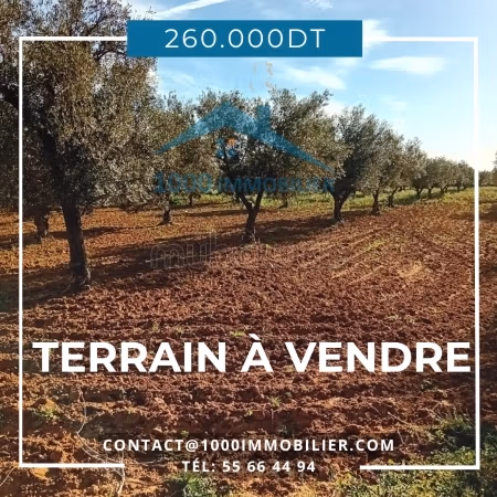Terrain agricole à vendre Kalaa Kbira