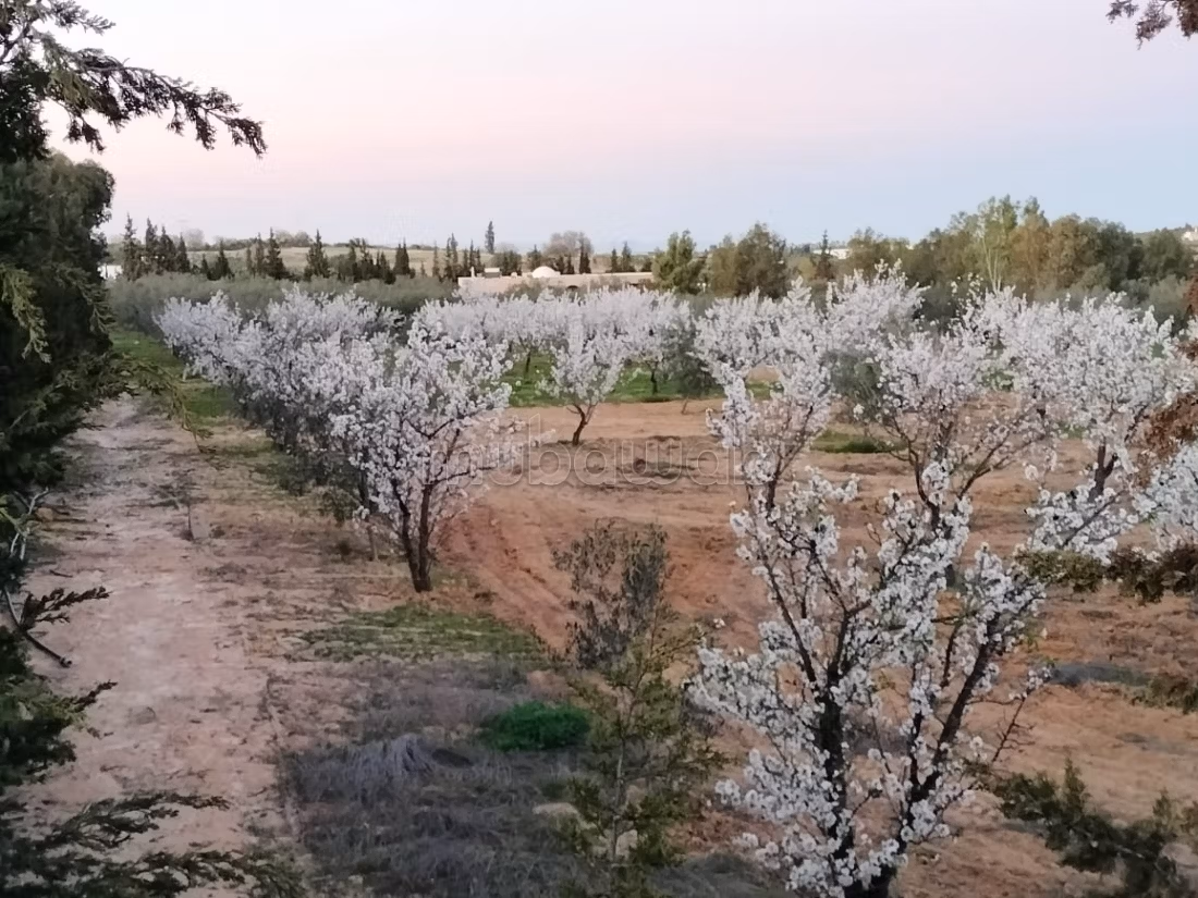 A vendre ferme avec villa à Sousse