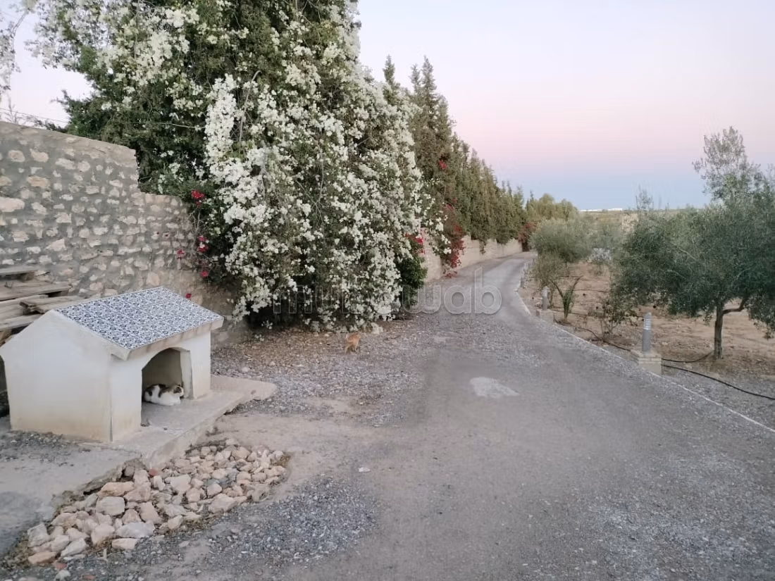 A vendre ferme avec villa à Sousse