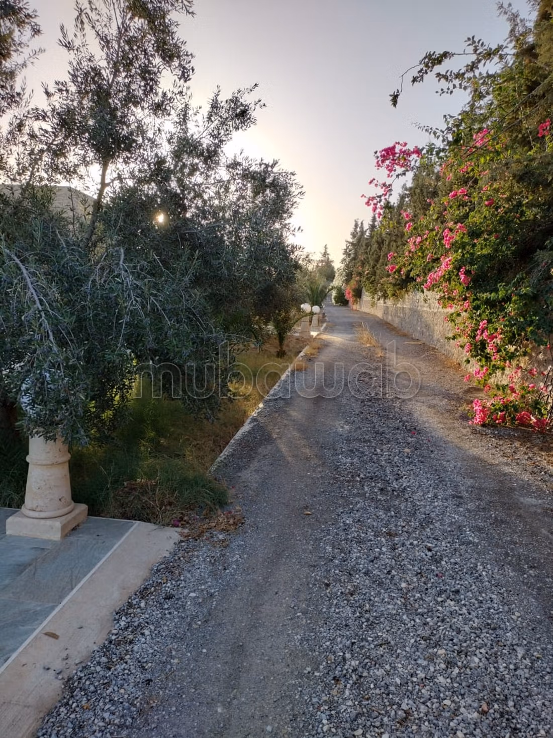 A vendre ferme avec villa à Sousse