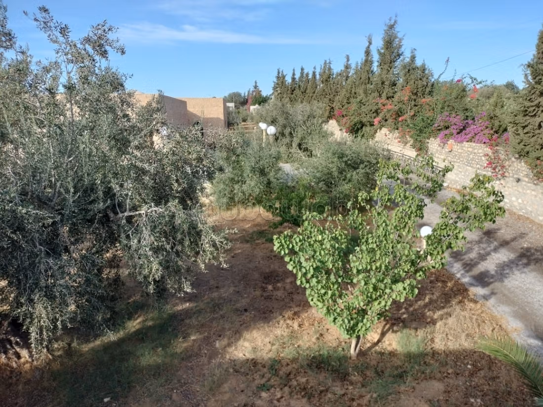 A vendre ferme avec villa à Sousse