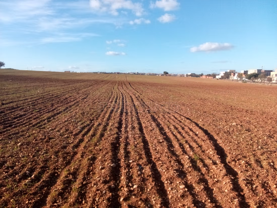 A VENDRE Grand Terrain Stratégique