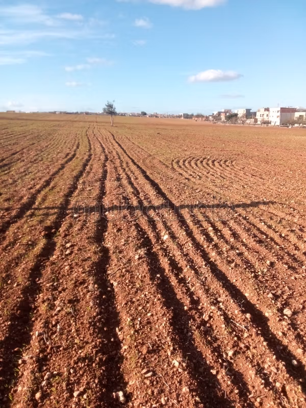 Land for sale. Total area 10300 m²