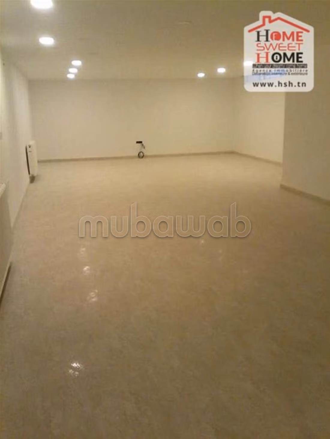 Due Ville gemellate Twinex in vendita a La Marsa