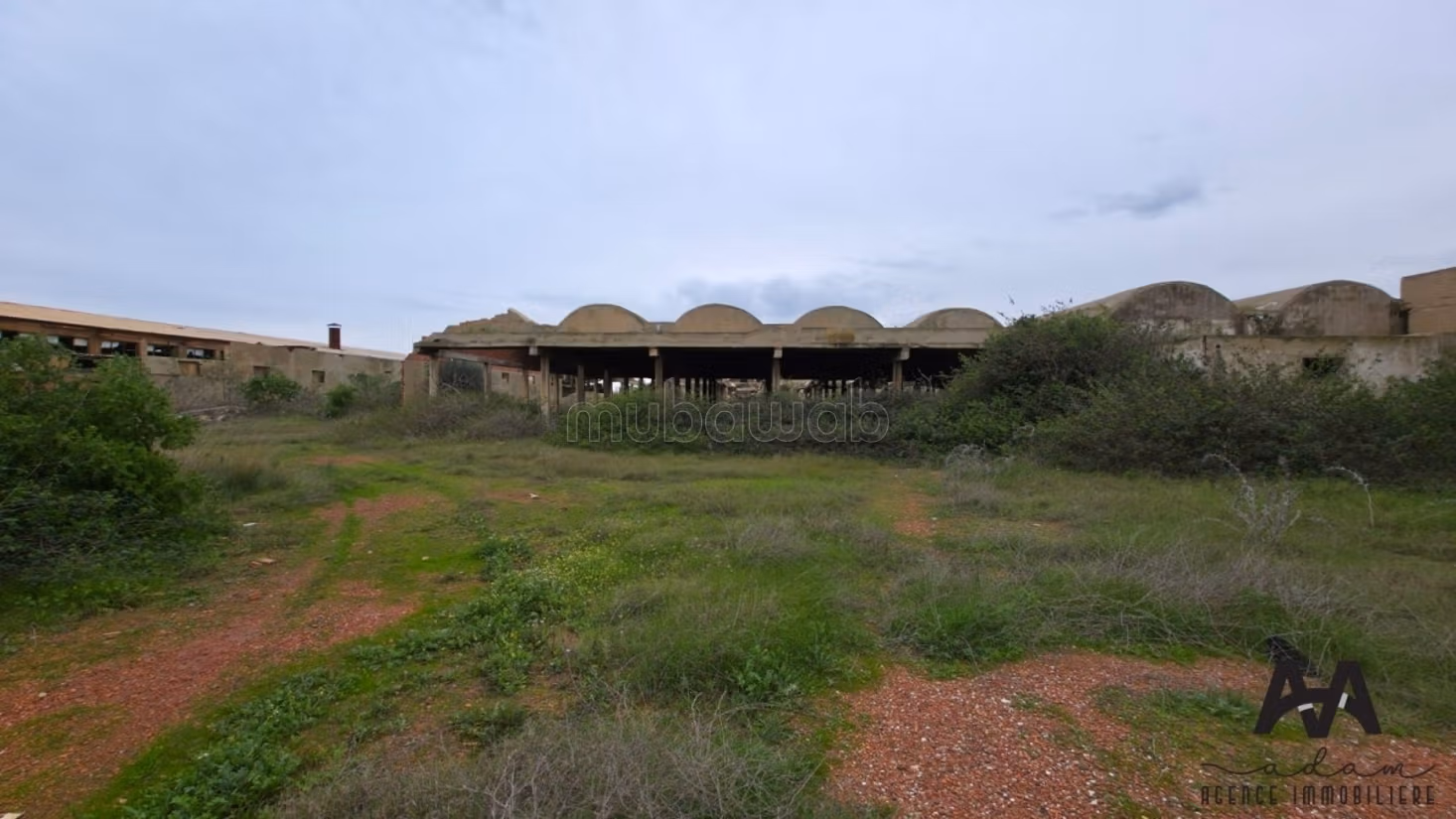 Terrain 1 hectare Zone Industrielle de Nabeul