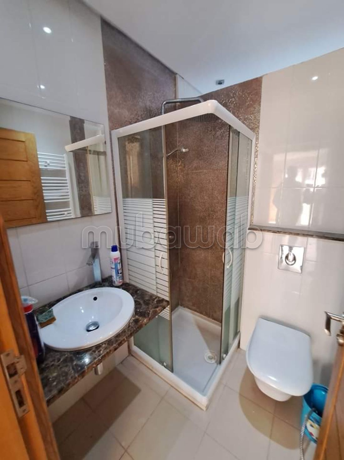 Appartamento arredato con ricchezza con vista mare