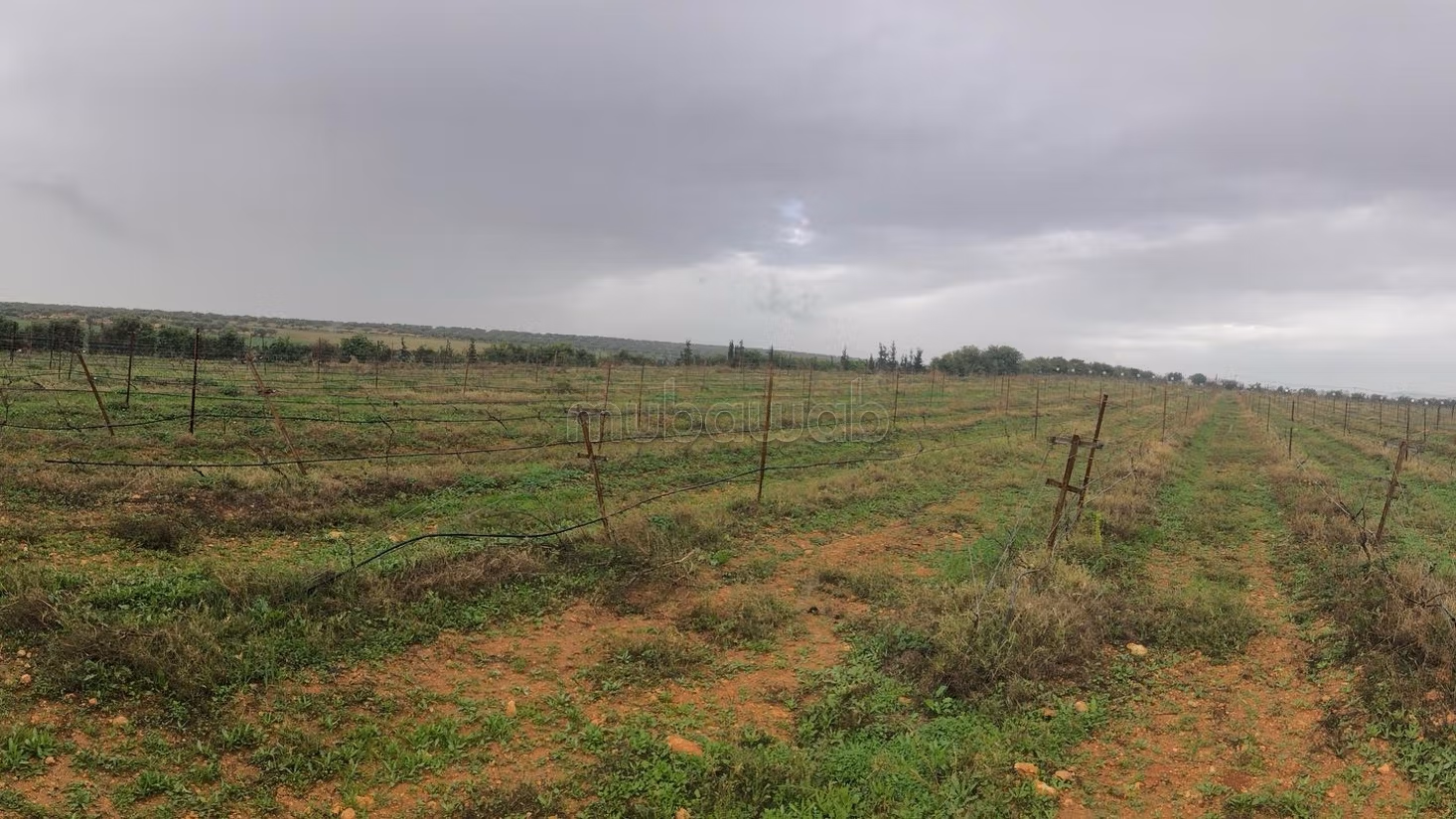 Domaine agricole une ferme cloturee Borj al amri