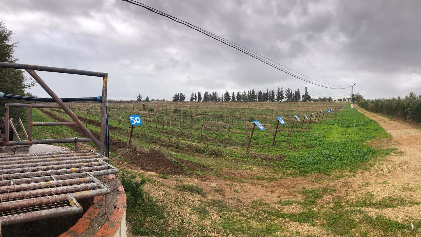 Domaine agricole une ferme cloturee Borj al amri