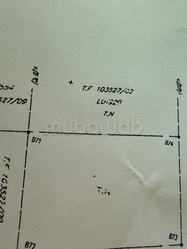 Terrain avendre à al wifaq