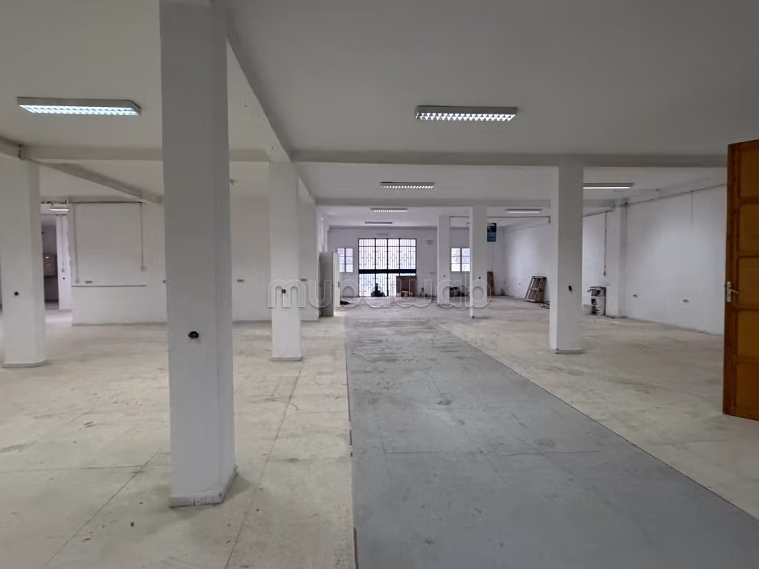 Beautiful commercial space for rent. Area 1200 m²