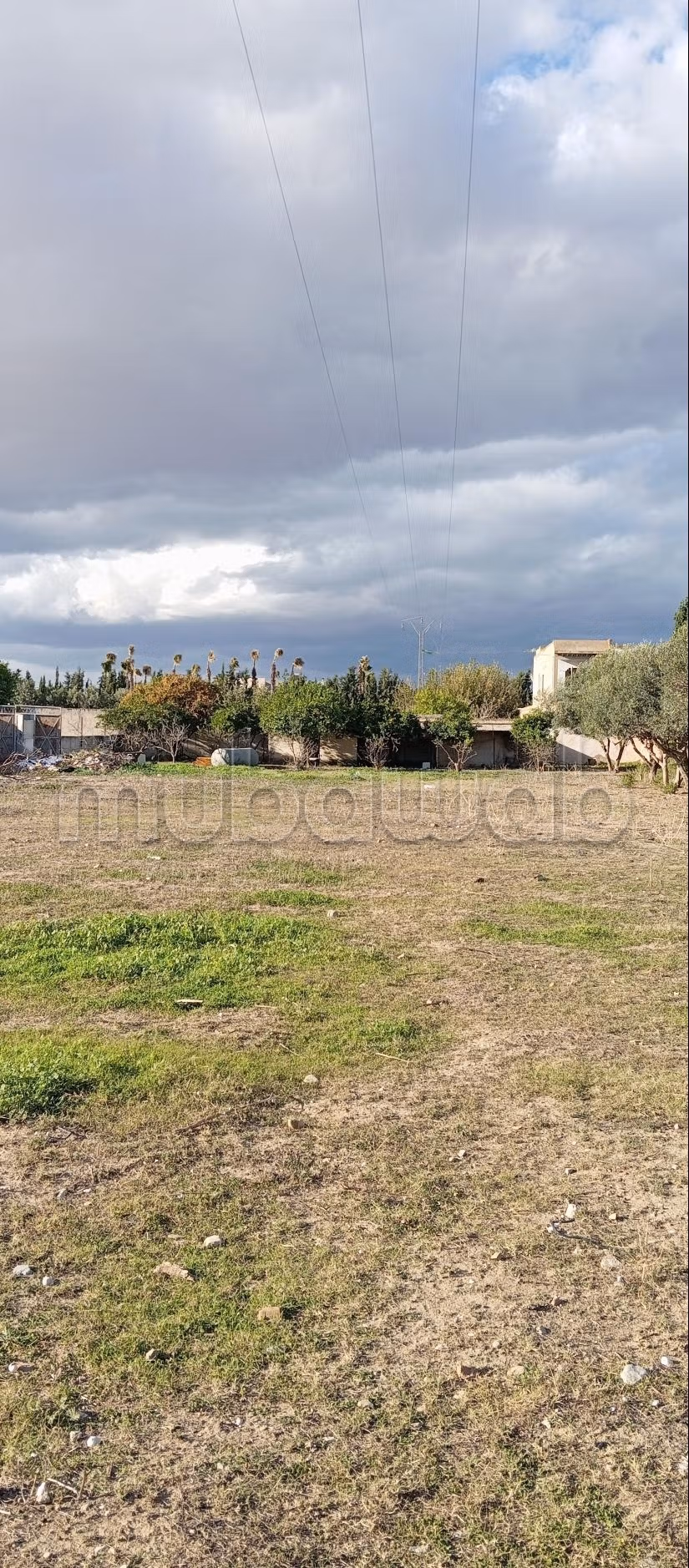 Terrain à vendre d’une superficie de 2 300m²