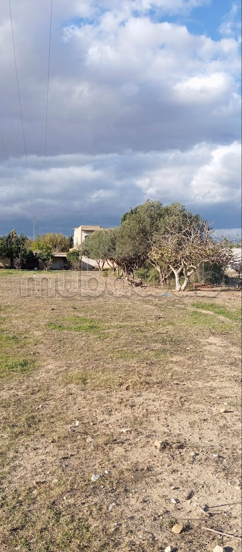 Terrain à vendre d’une superficie de 2 300m²