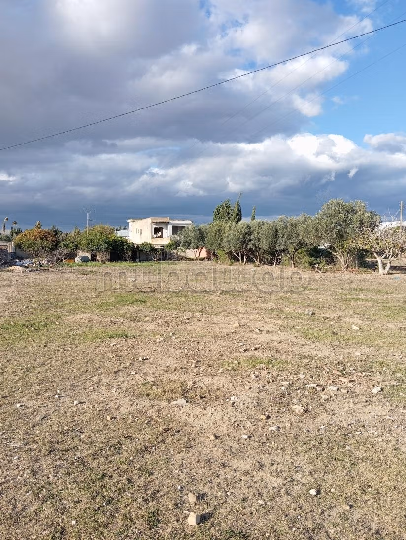 Terrain à vendre d’une superficie de 2 300m²