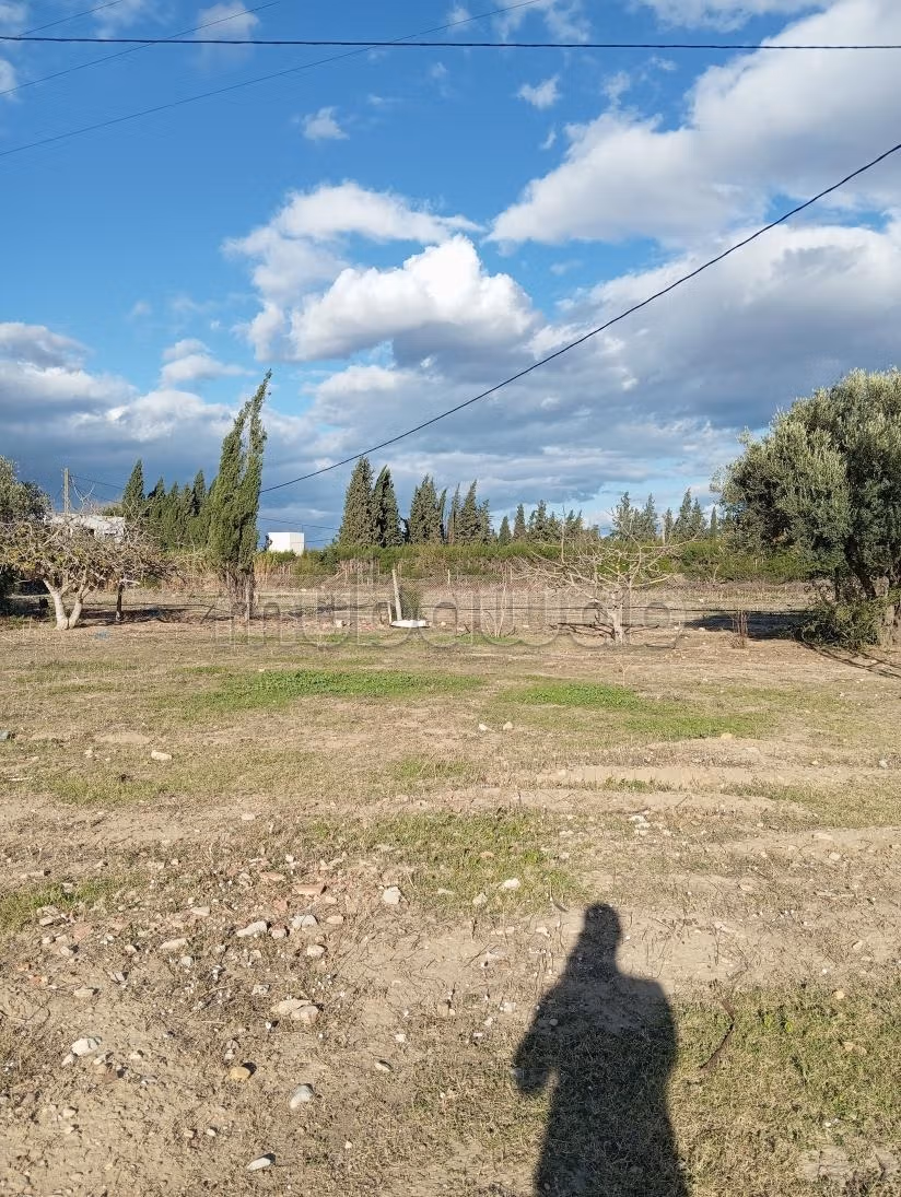 Terrain à vendre d’une superficie de 2 300m²