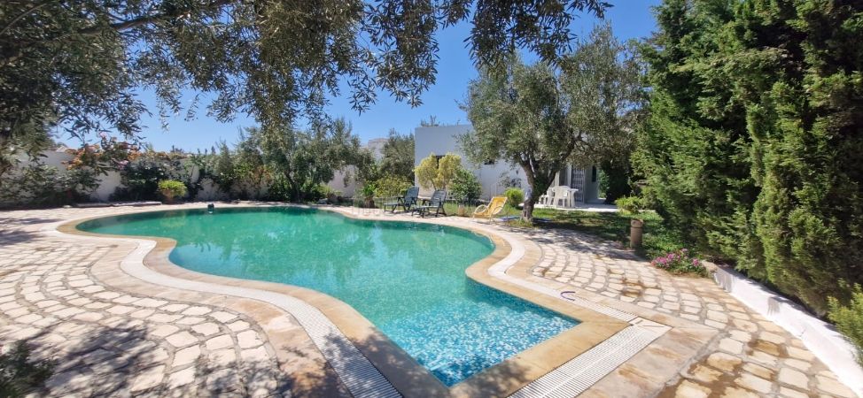 Deux bungalowen S2 avec une piscine