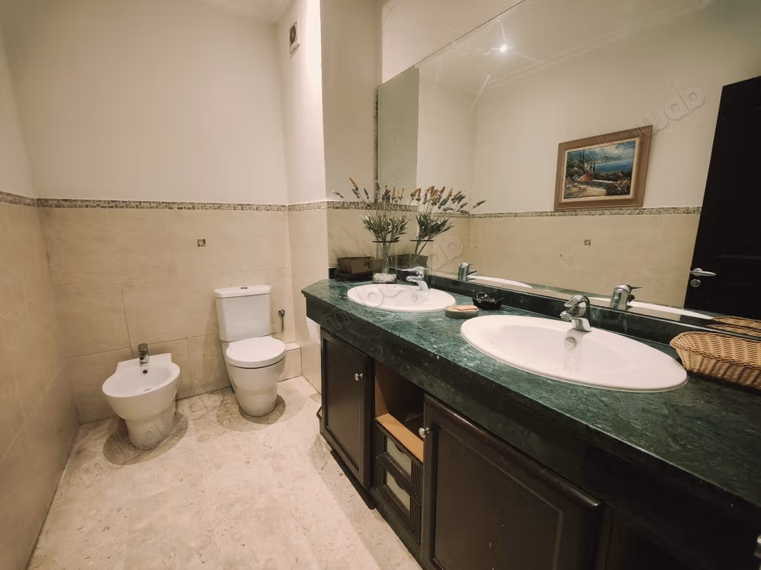Beautiful apartment for rent in Racine. Total area 210 m²