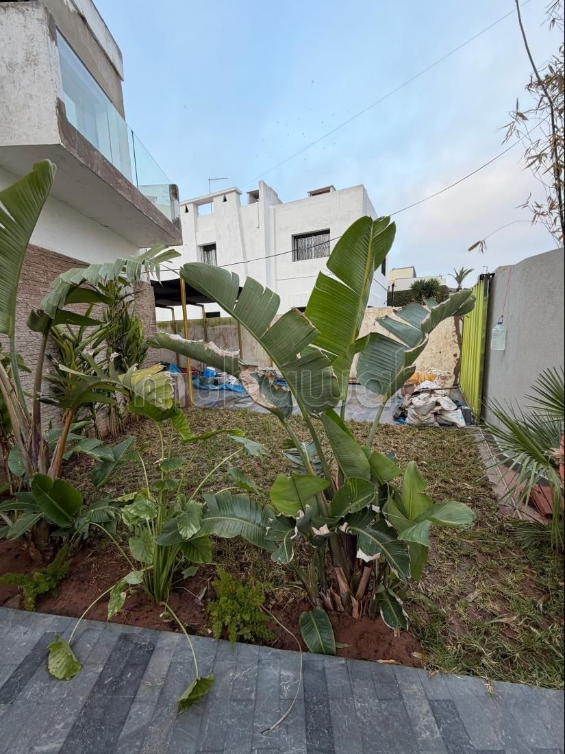 Villa premium a louer