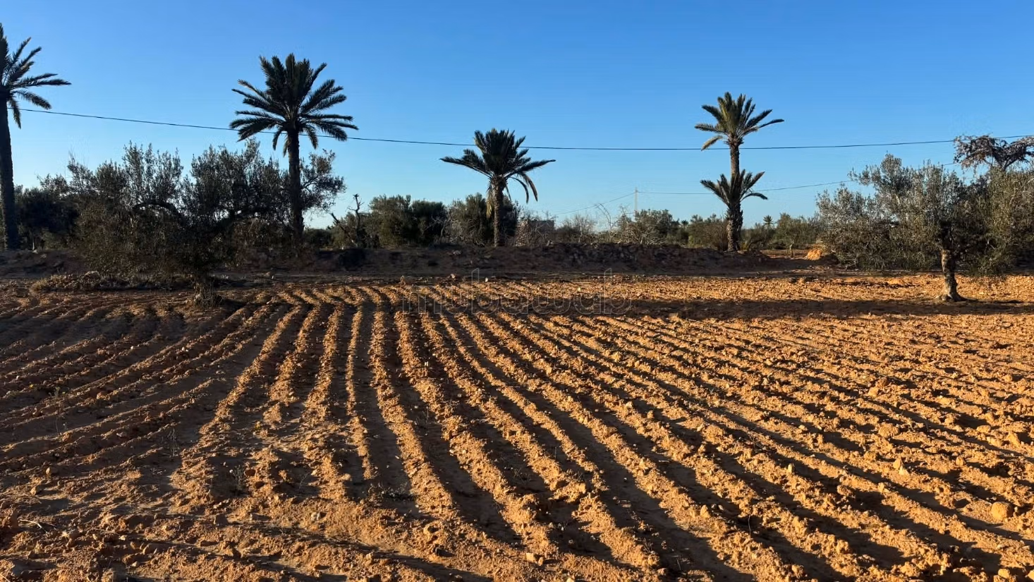 Titre a djerba beni magel
