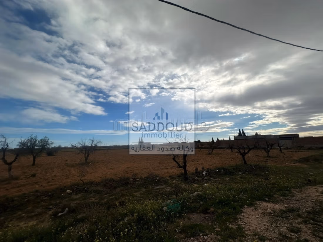 Terrain 580m à vendre – Route El Aïn km 12,5