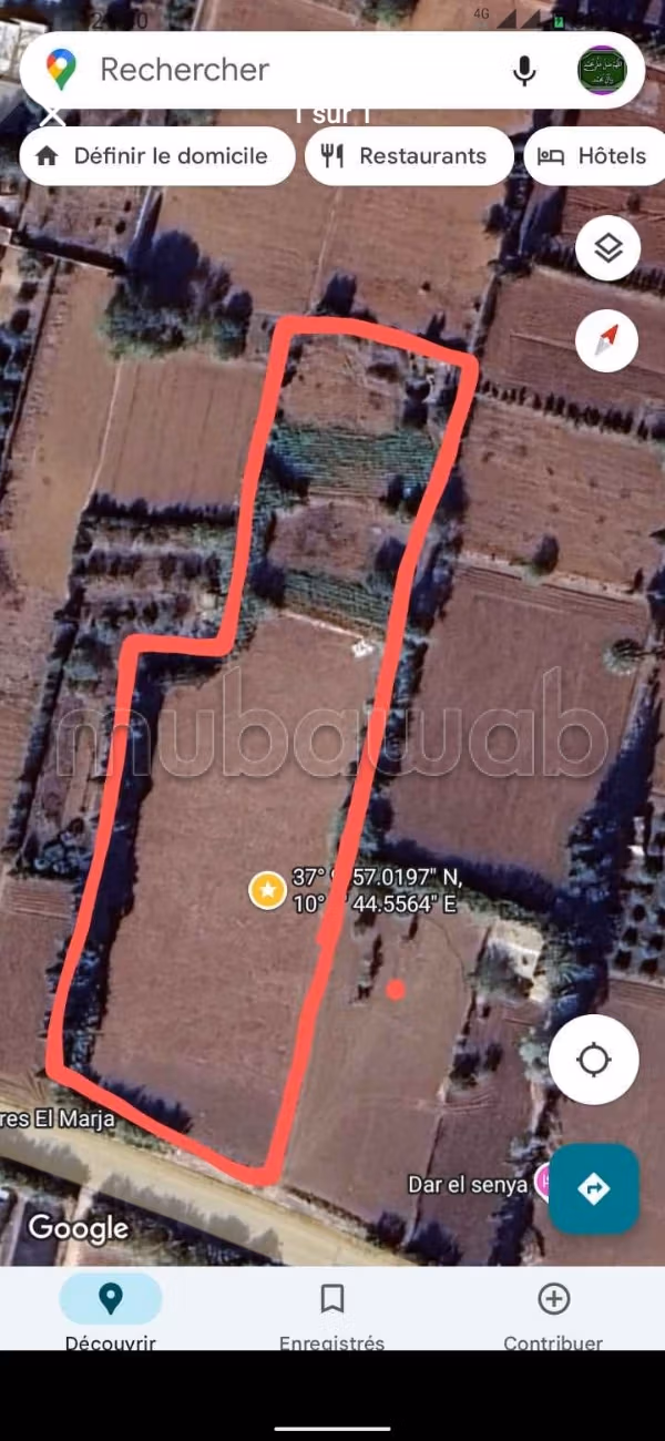 Land for sale – Investment opportunity in Ghar el Melh