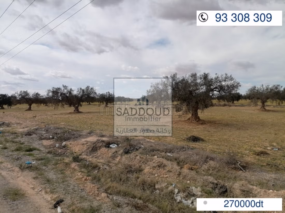 Terrain à vendre – Route de Gabès km 26