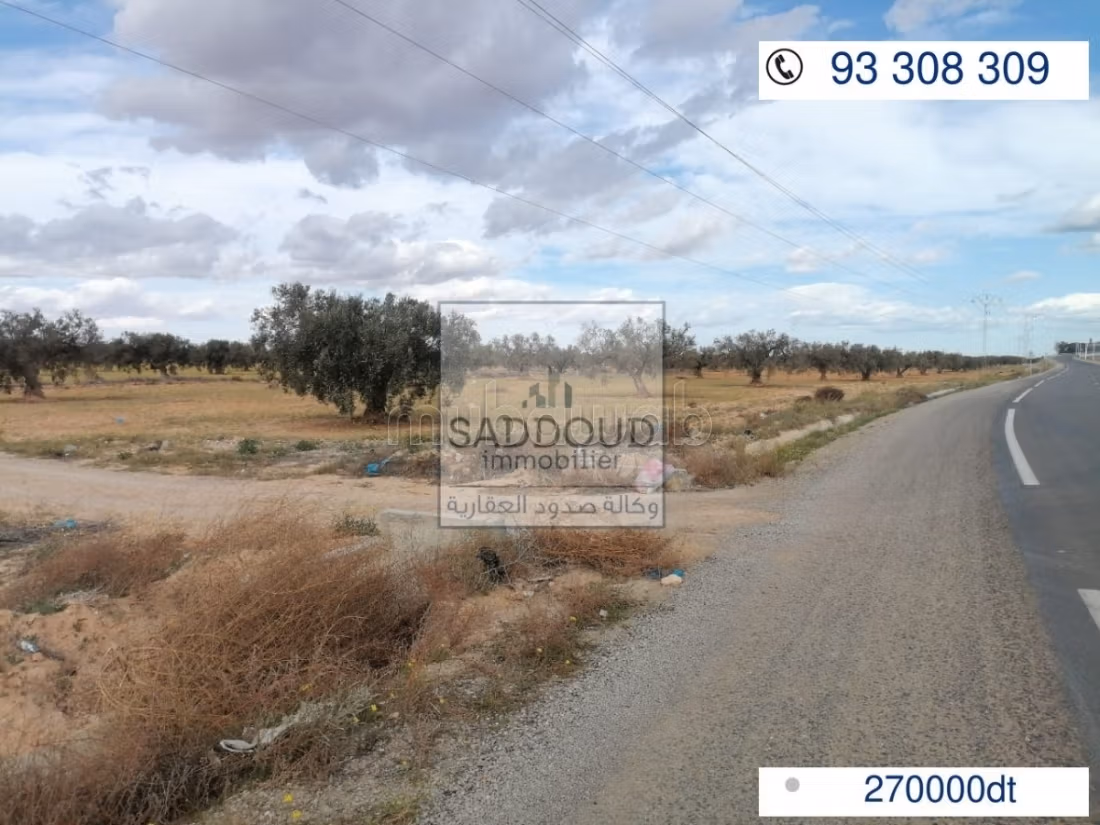 Terrain à vendre – Route de Gabès km 26