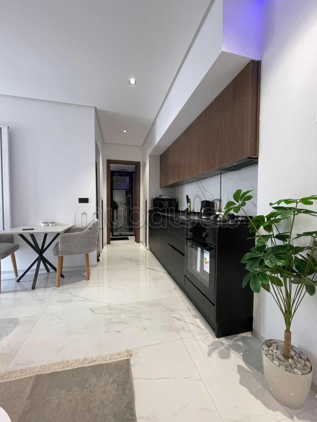 Superbo S1 arredato riccamente in affitto