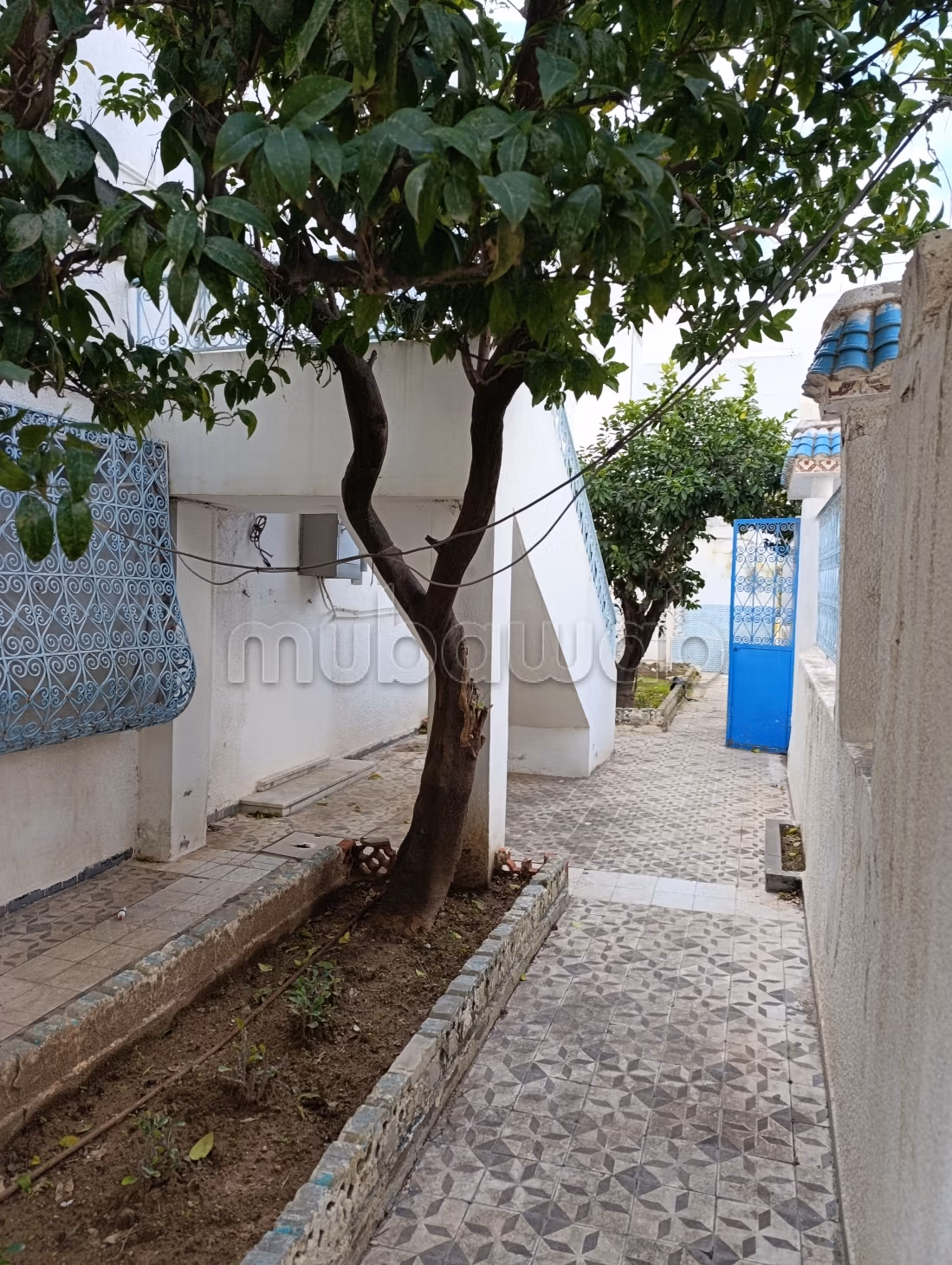 Maison de luxe à vendre à Le Bardo. 8 belles chambres. Belle terrasse et jardin